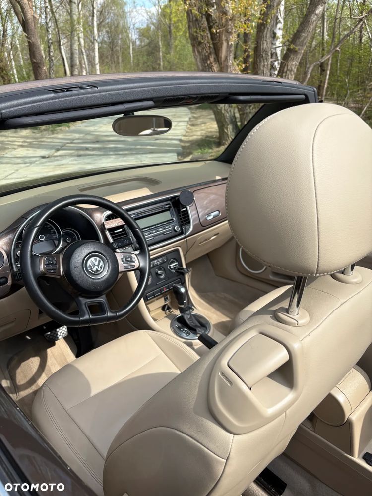 Volkswagen Beetle - 8