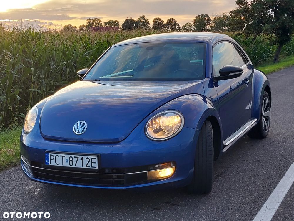 Volkswagen Beetle - 1