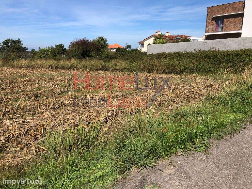 Terreno Urbano na Branca - Grande imagem: 3/9