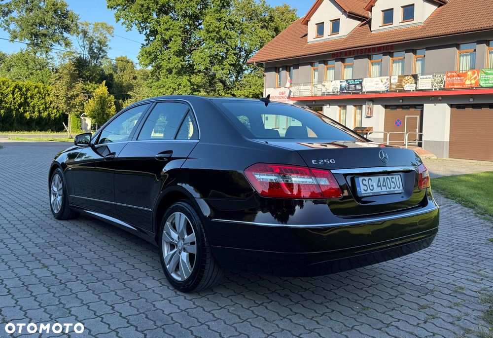 Mercedes-Benz Klasa E 250 CDI BlueEff Elegance - 8