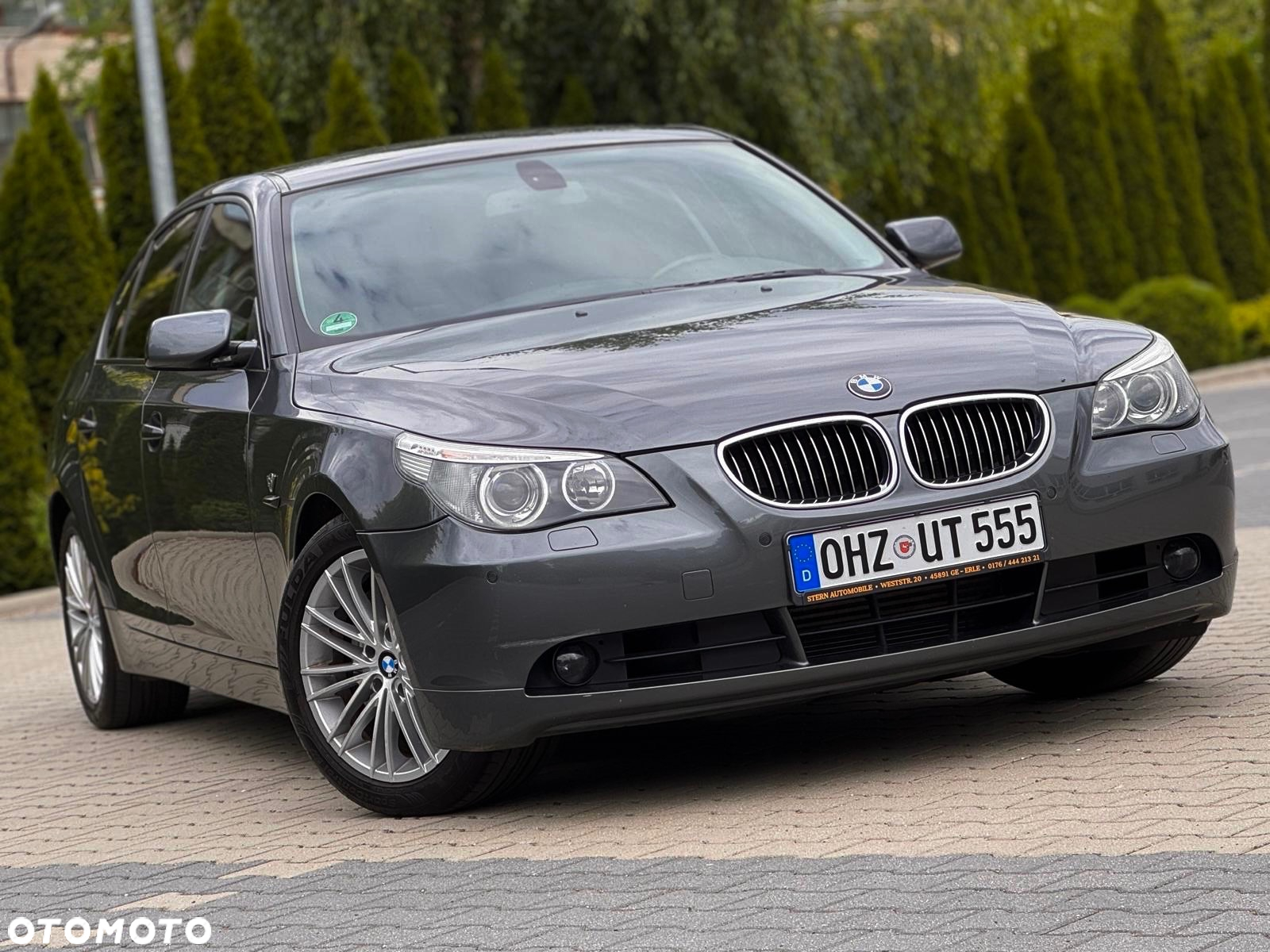 BMW Seria 5 545i - 8