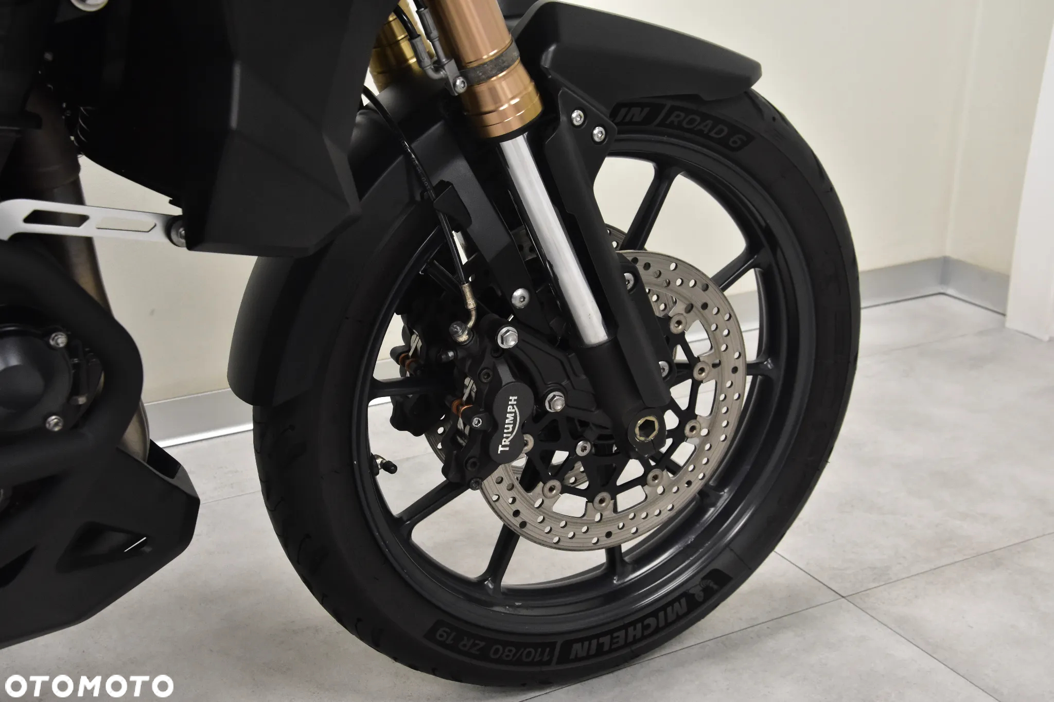 Triumph Tiger - 30