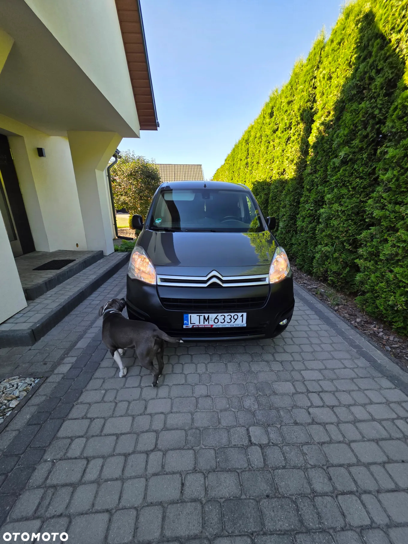 Citroën BERLINGO - 3