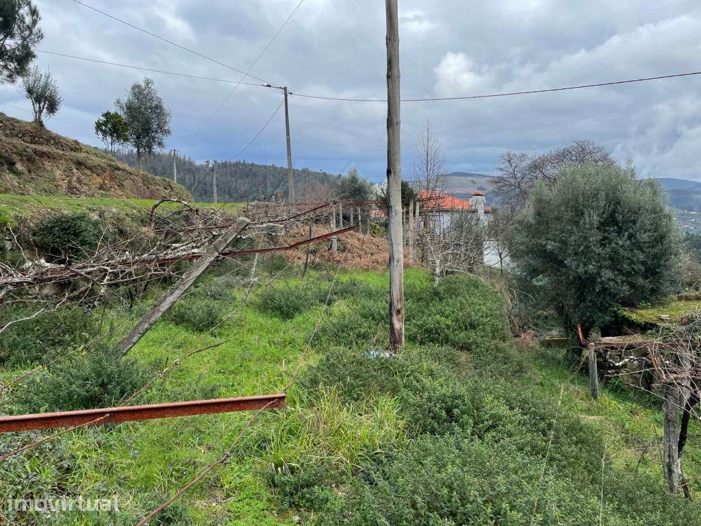 Terreno na Labruja - Grande imagem: 5/10