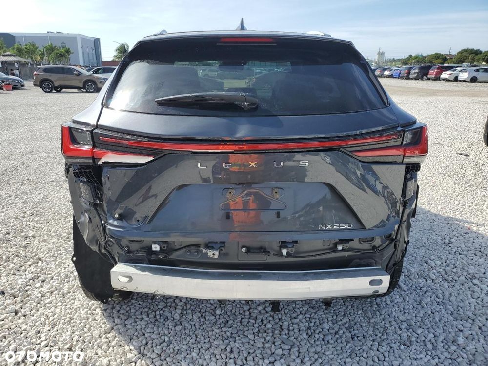 Lexus NX 300 Prestige AWD - 7
