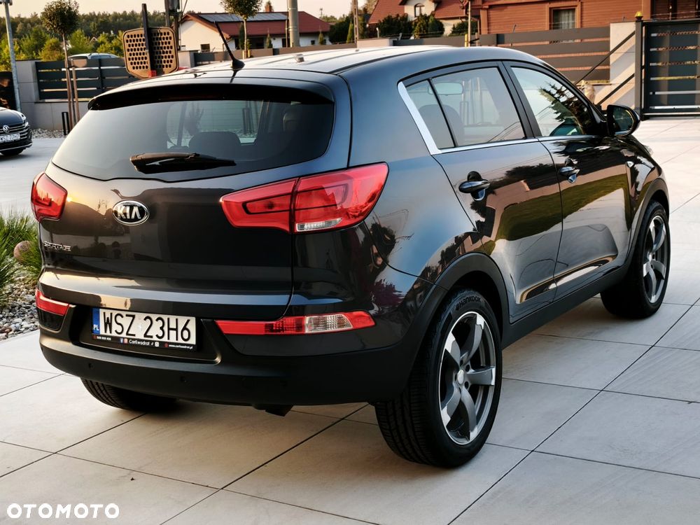 Kia Sportage - 36