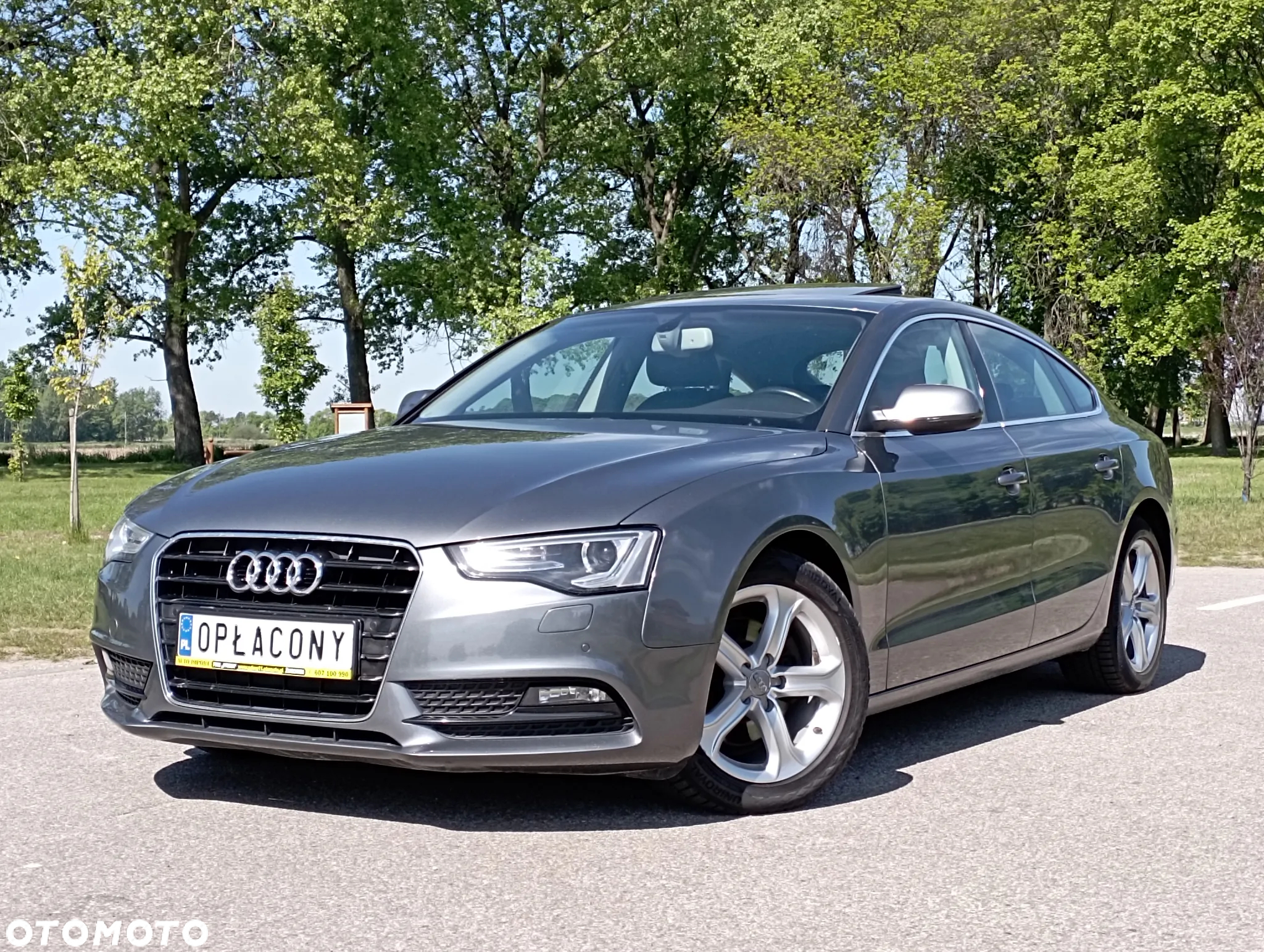 Audi A5 2.0 TDI ultra Sportback DPF - 10