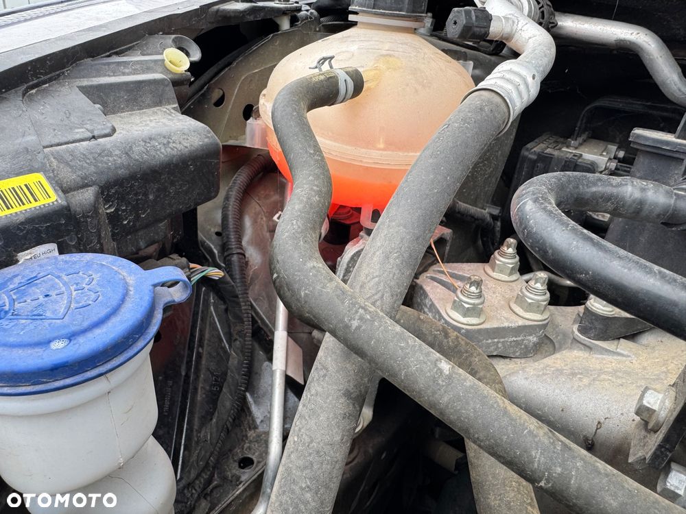 Ford Fiesta - 24