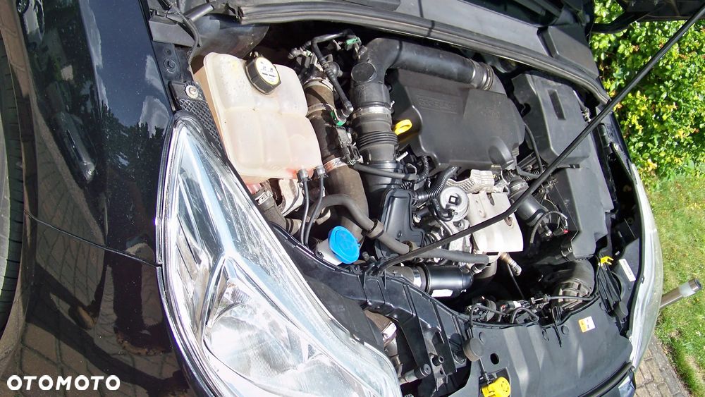 Ford Focus 1.0 EcoBoost Titanium ASS - 19