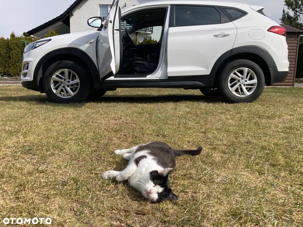 Hyundai Tucson 1.6 GDI BlueDrive Classic 2WD - 21