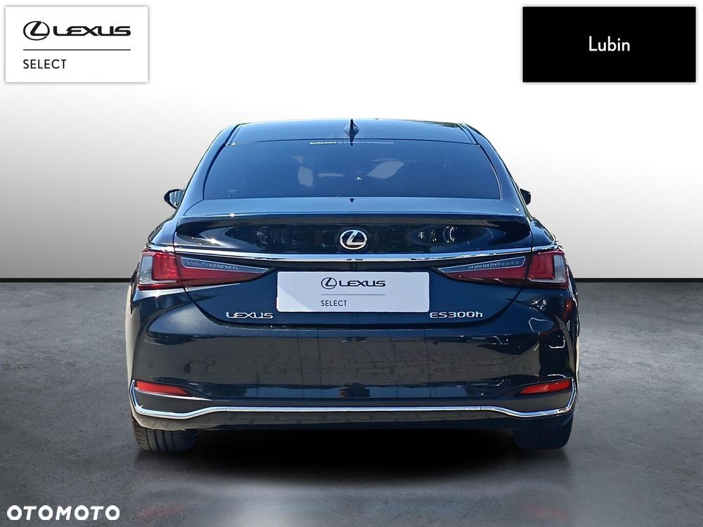 Lexus ES 300h Omotenashi - 5