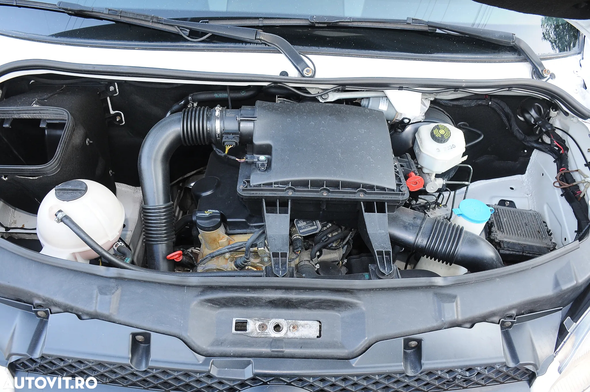 Mercedes-Benz Sprinter - 8