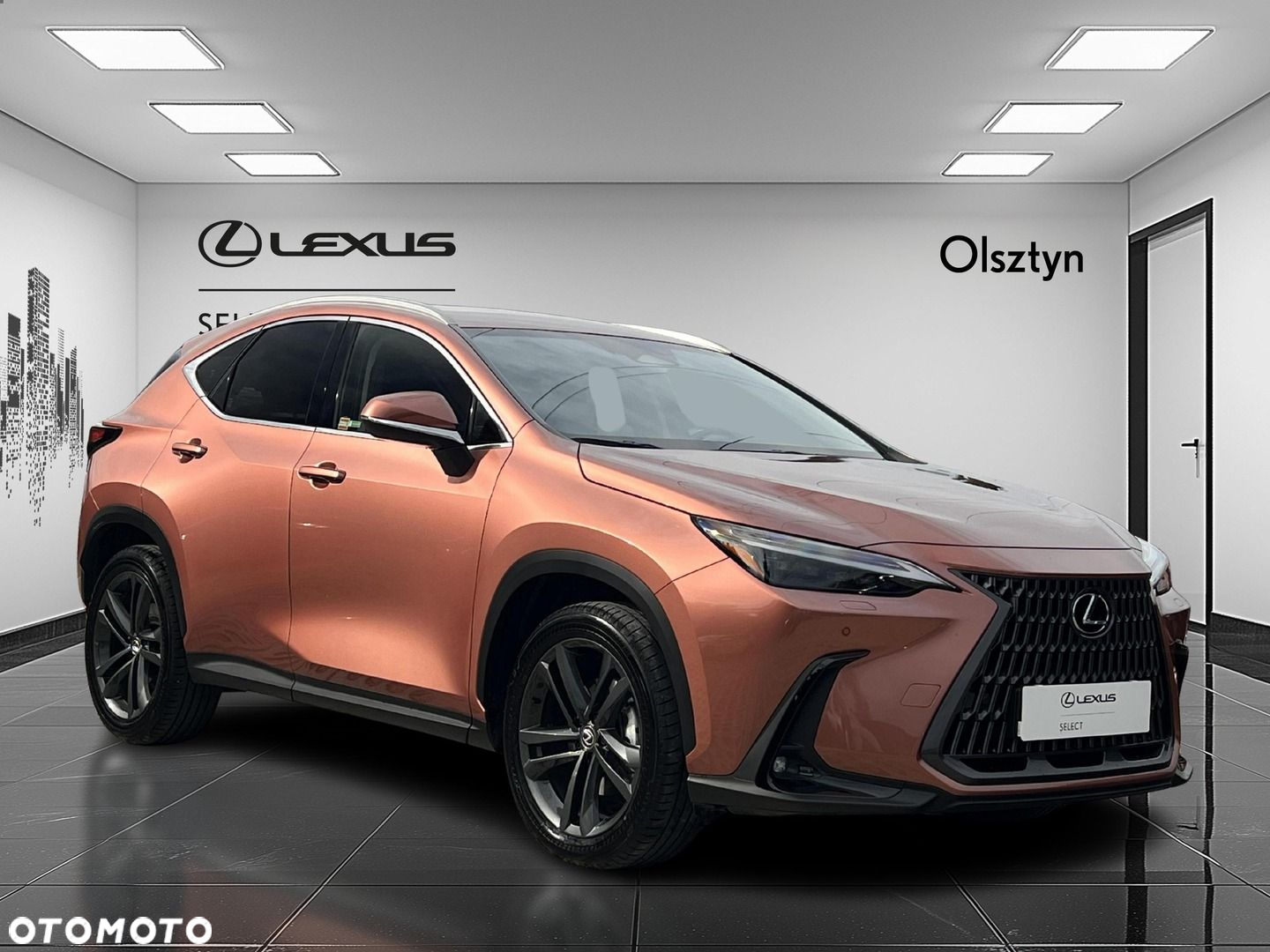 Lexus NX 350h Prestige AWD - 2