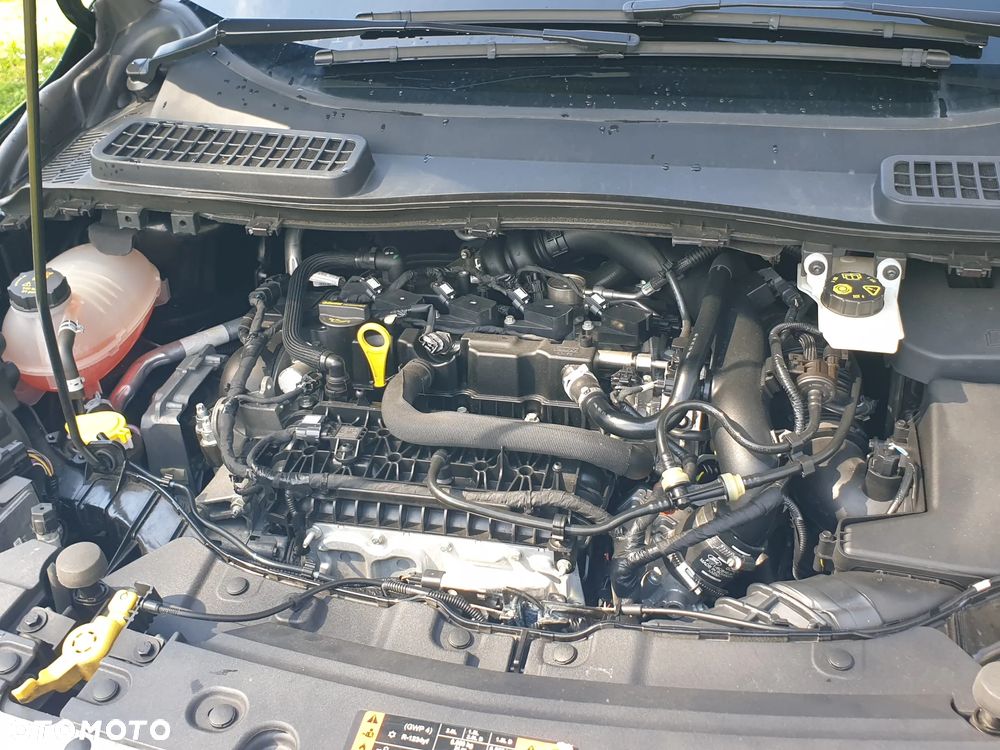 Ford Kuga 1.5 EcoBoost FWD Edition ASS MMT6 - 16