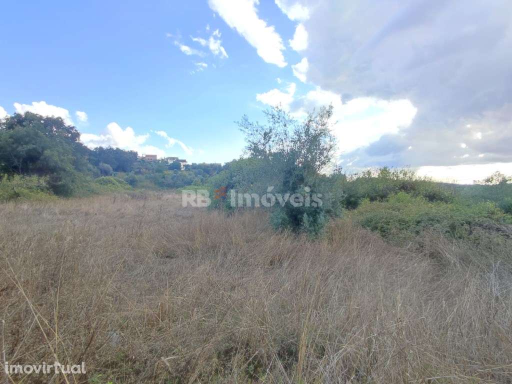Terreno rústico com 1280m² - Ferreira do Zêzere - Grande imagem: 4/13