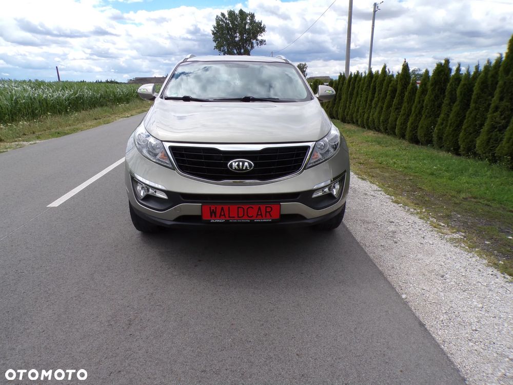 Kia Sportage - 1