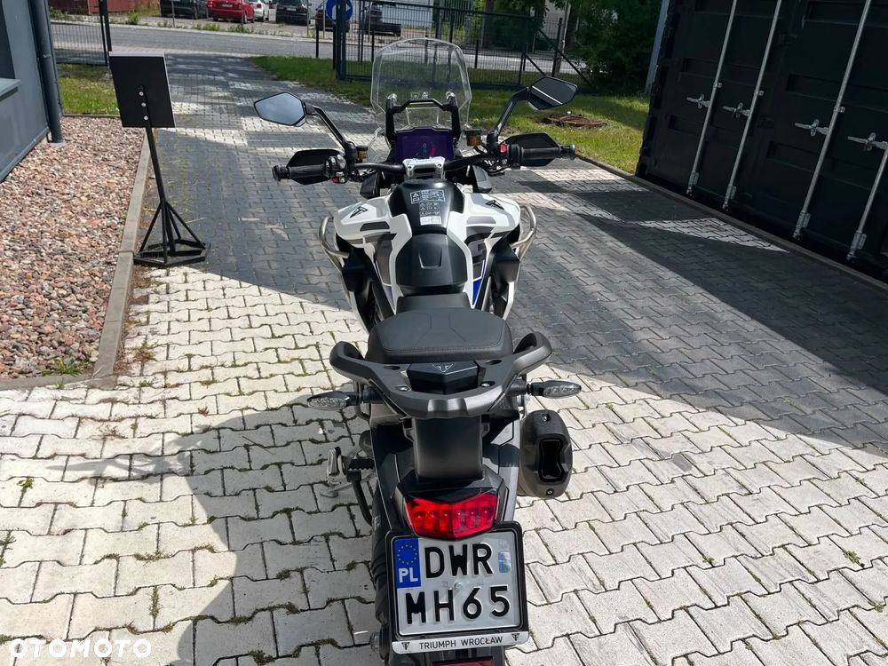 Triumph Tiger - 5