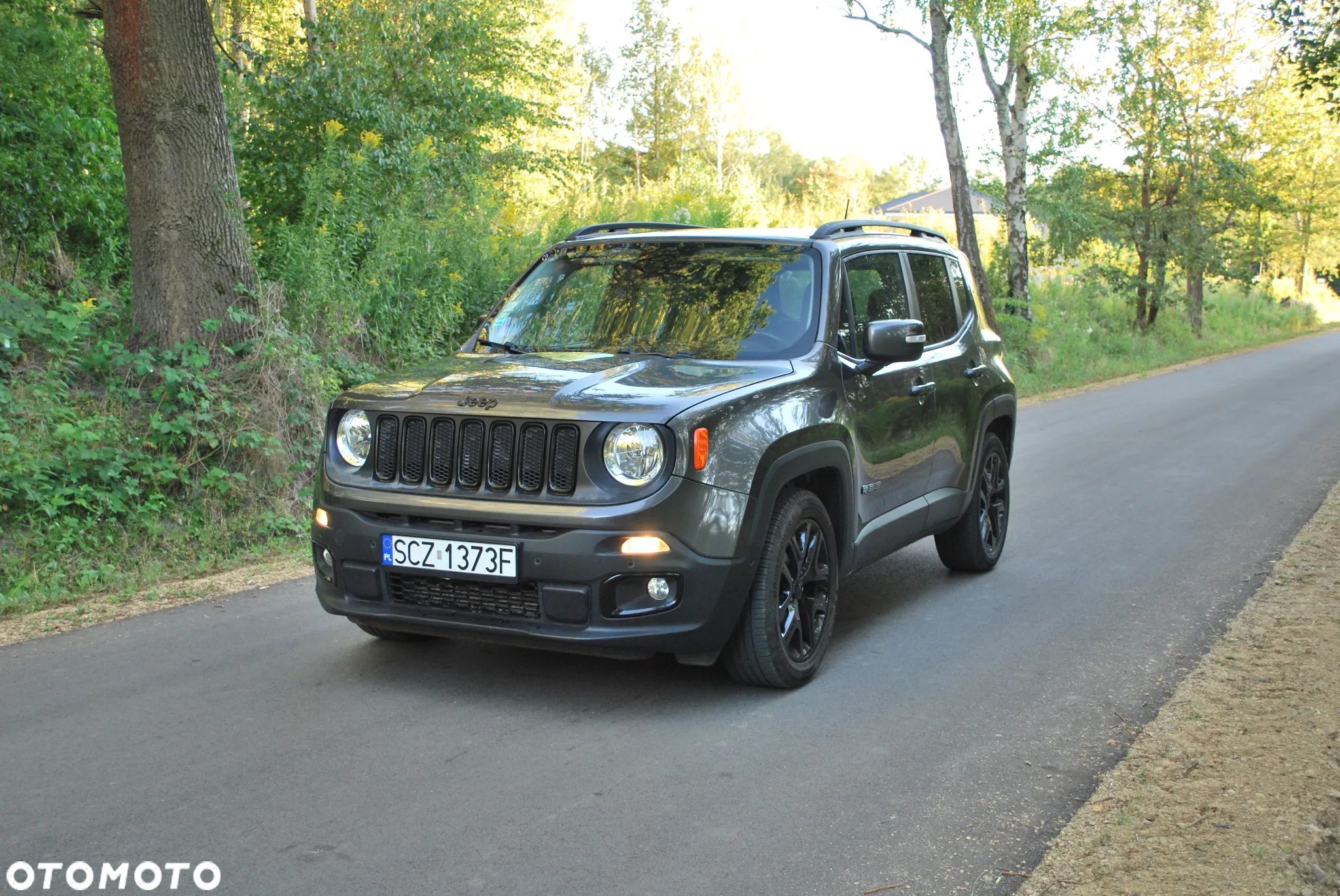 Jeep Renegade 1.4 MultiAir Limited FWD S&S - 1