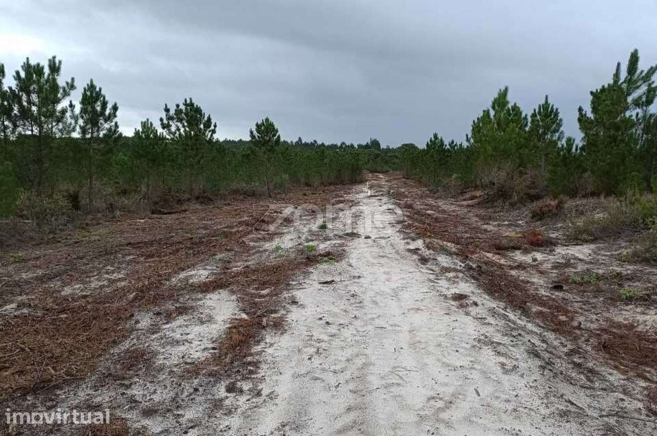Terreno em Brejinho de Água Sul - Grande imagem: 2/18