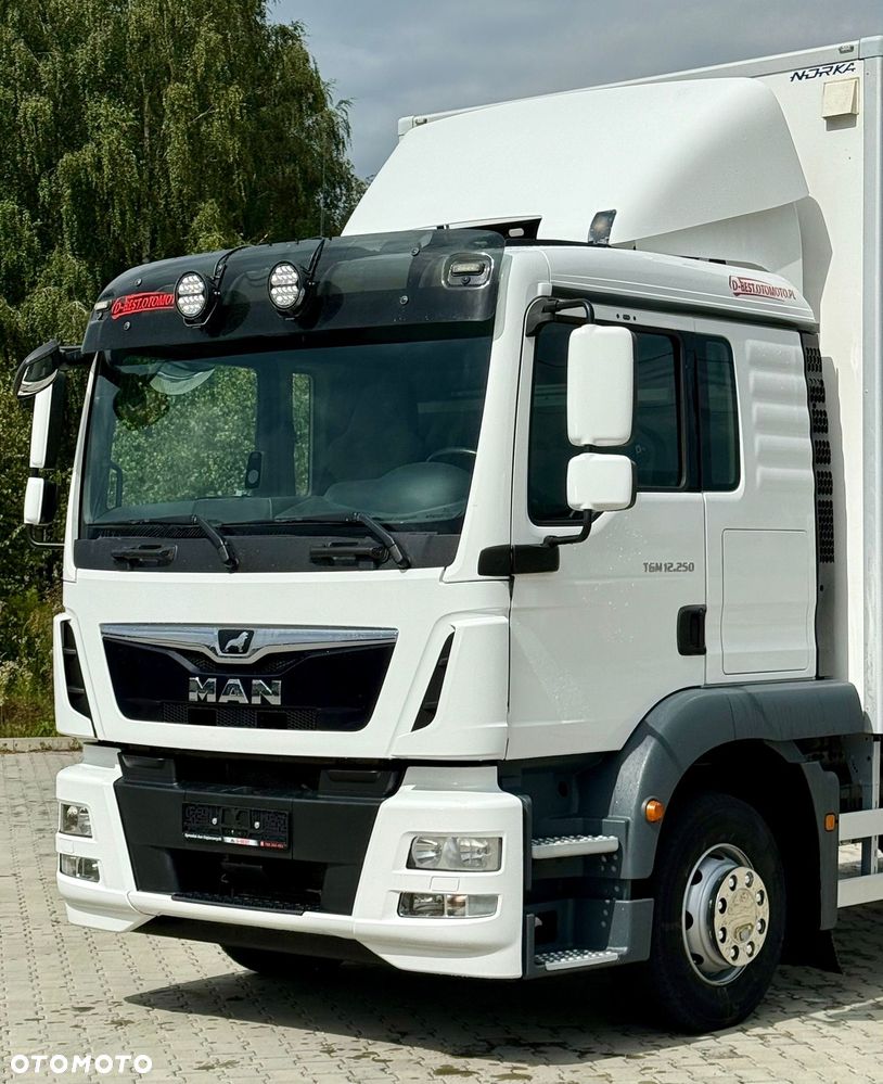 MAN TGM 12.250 / TGL / IZOTERMA / WINDA / 18 EUROPALET / SYPIALKA / AUTOMAT / 2018 ROK - 8