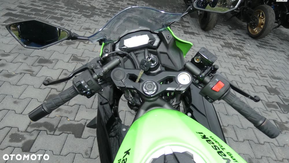 Kawasaki Ninja - 10