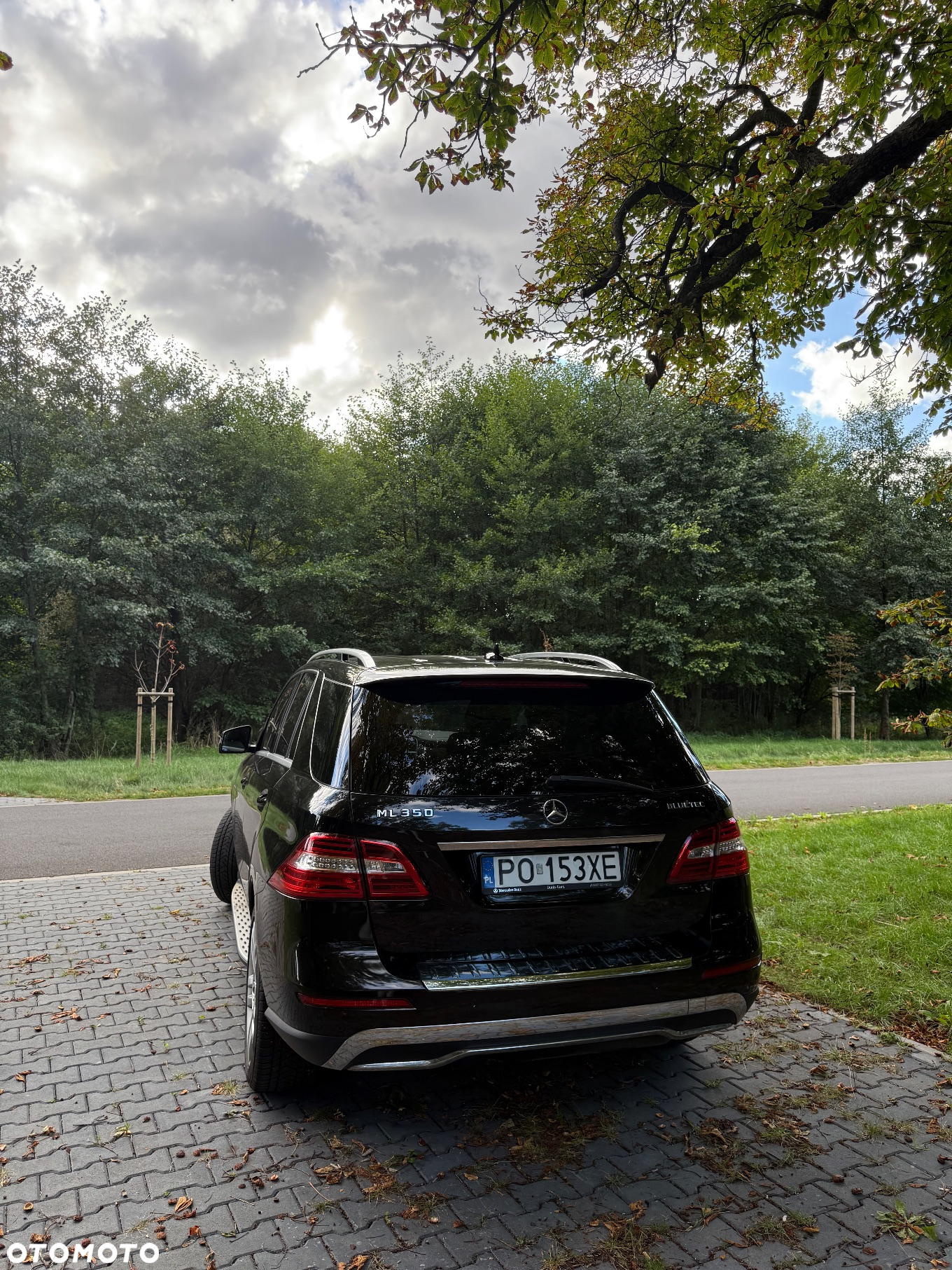 Mercedes-Benz ML 350 BlueTec 4-Matic - 8