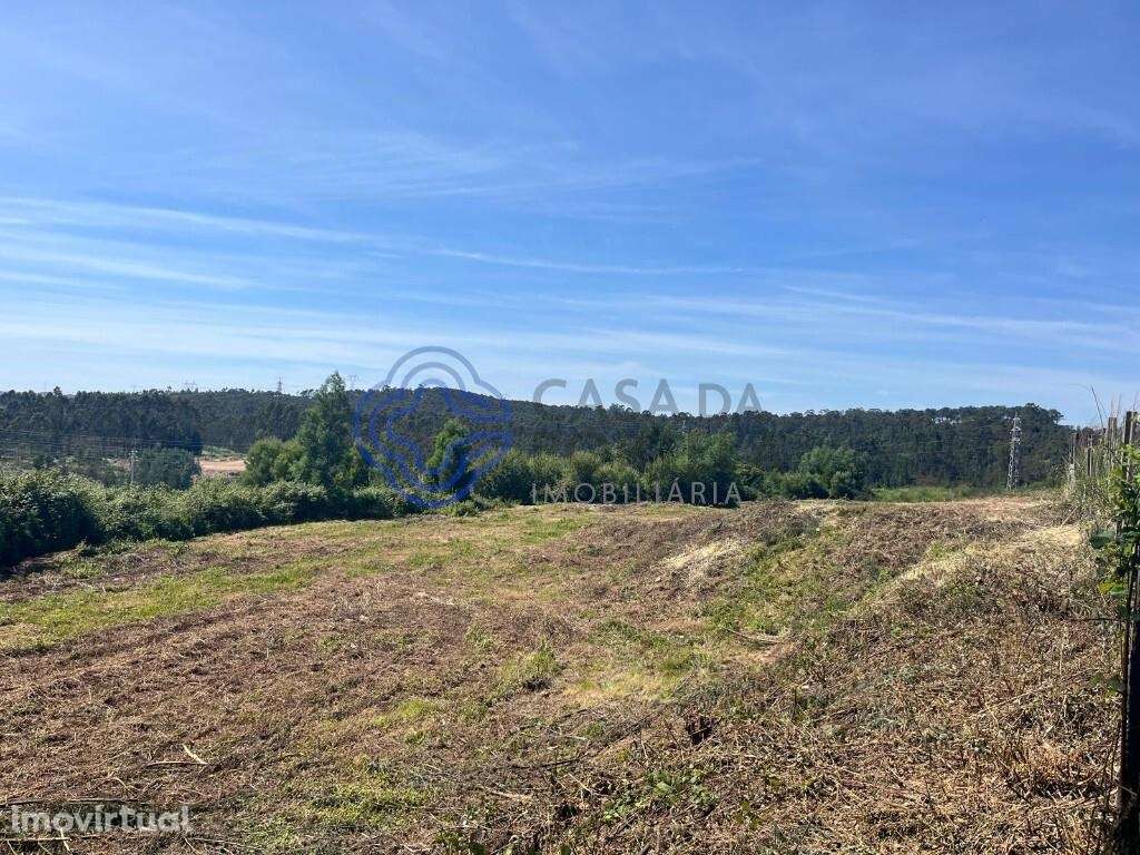 Lote inserido na urbanização Minas do Pintor - Grande imagem: 5/21