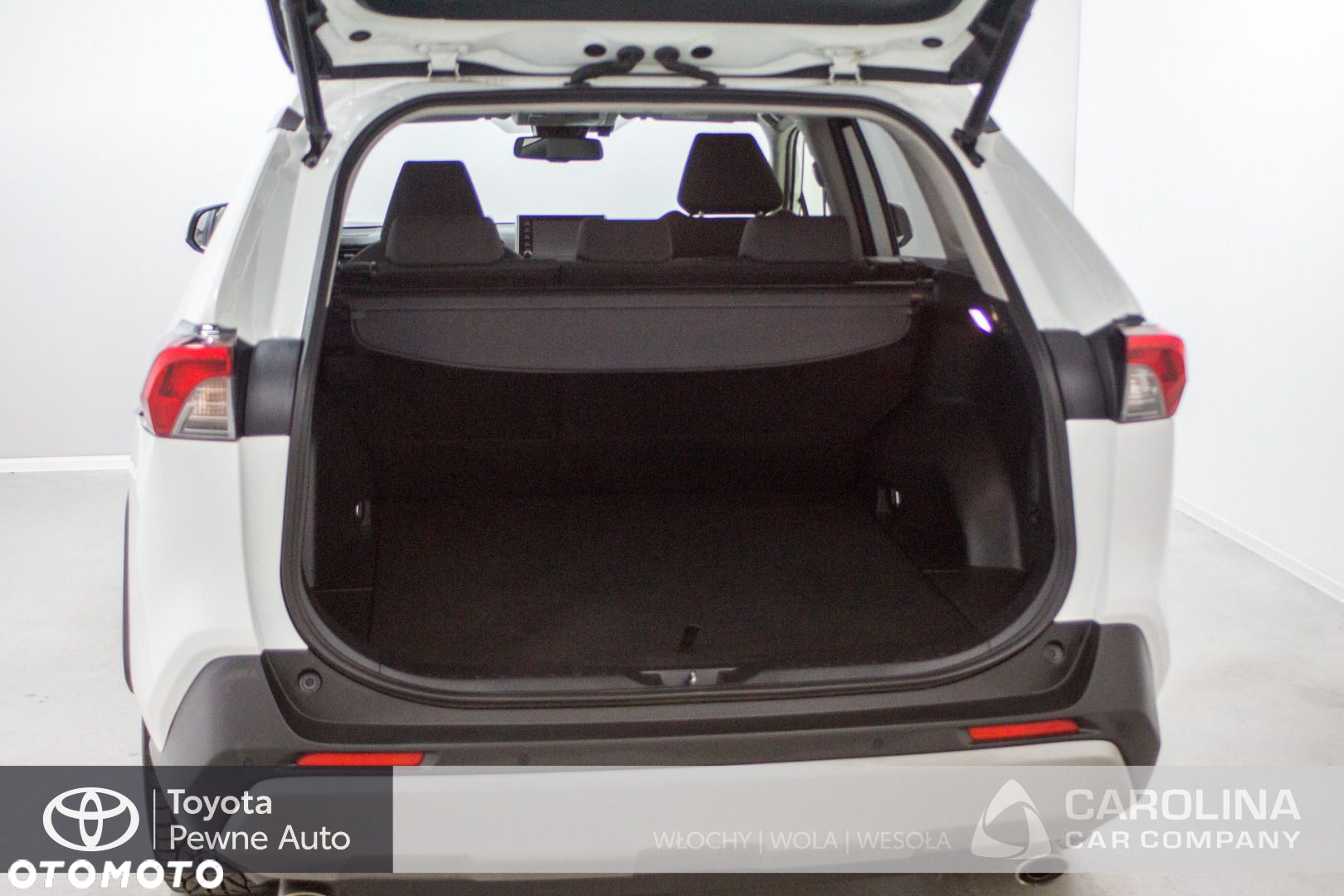 Toyota RAV4 - 17