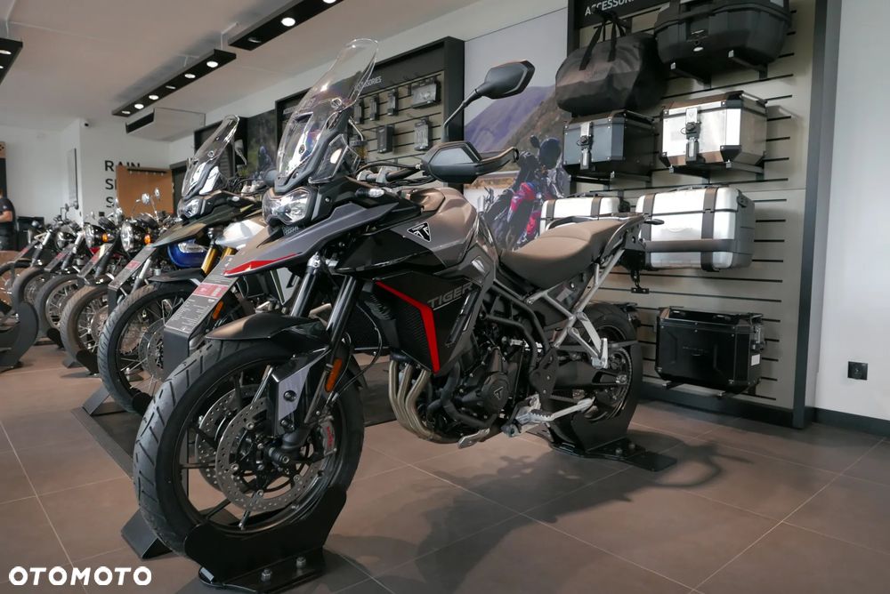 Triumph Tiger - 4