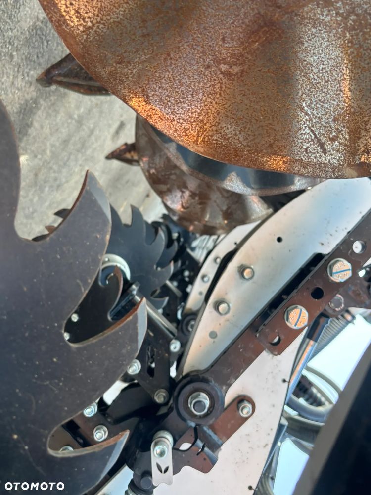 Agrisem STRIPCAT - 17