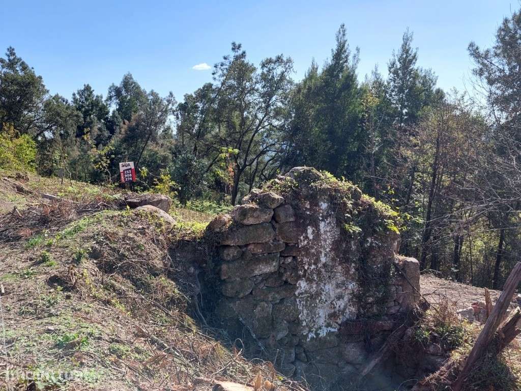 Terreno c/ Ruína em Pedra - Vilela - Grande imagem: 4/10