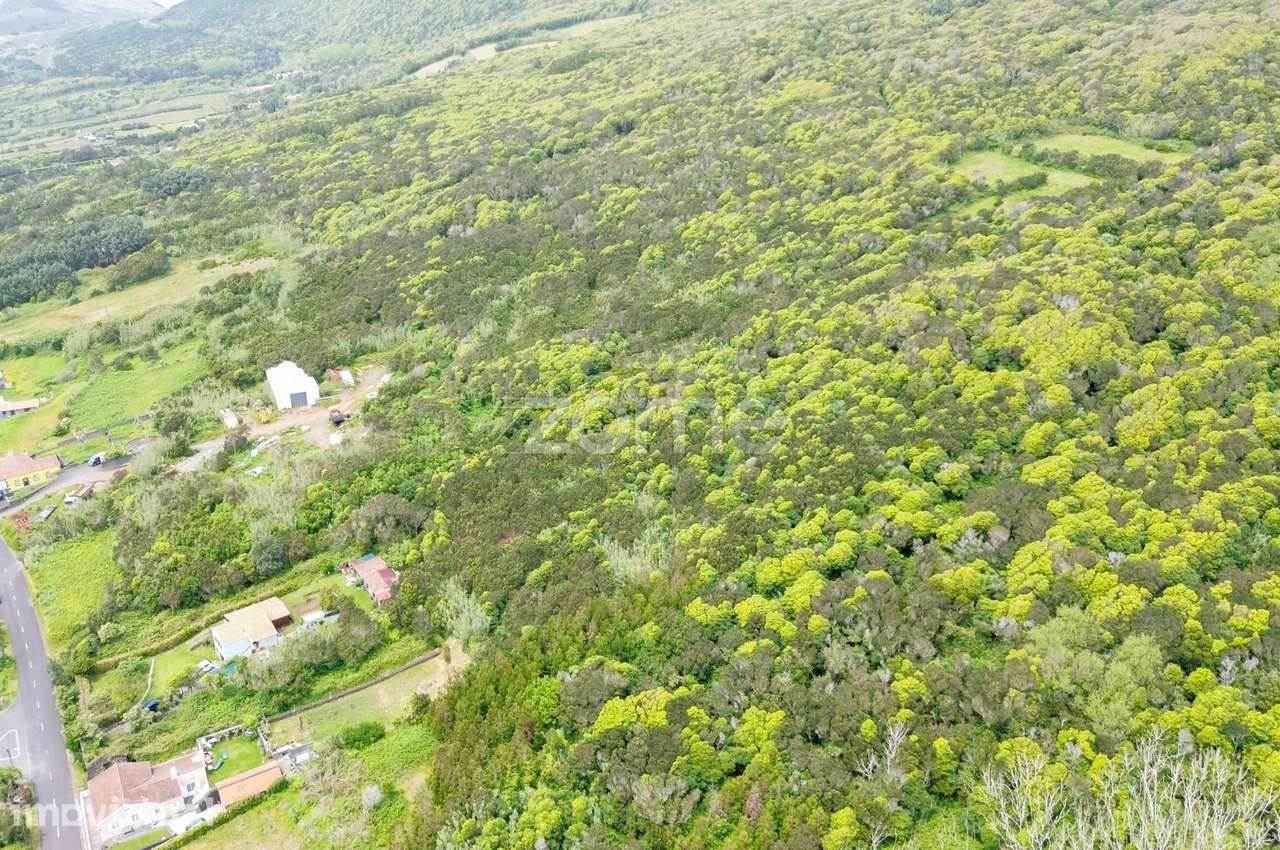 Terreno rústico com 2.178m² da freguesia do Capelo - Grande imagem: 4/9