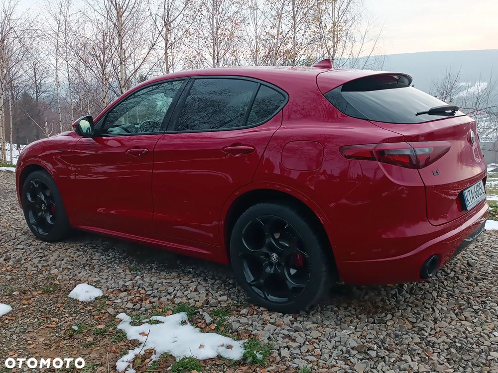 Alfa Romeo Stelvio 2.0 Turbo Veloce Q4 - 3