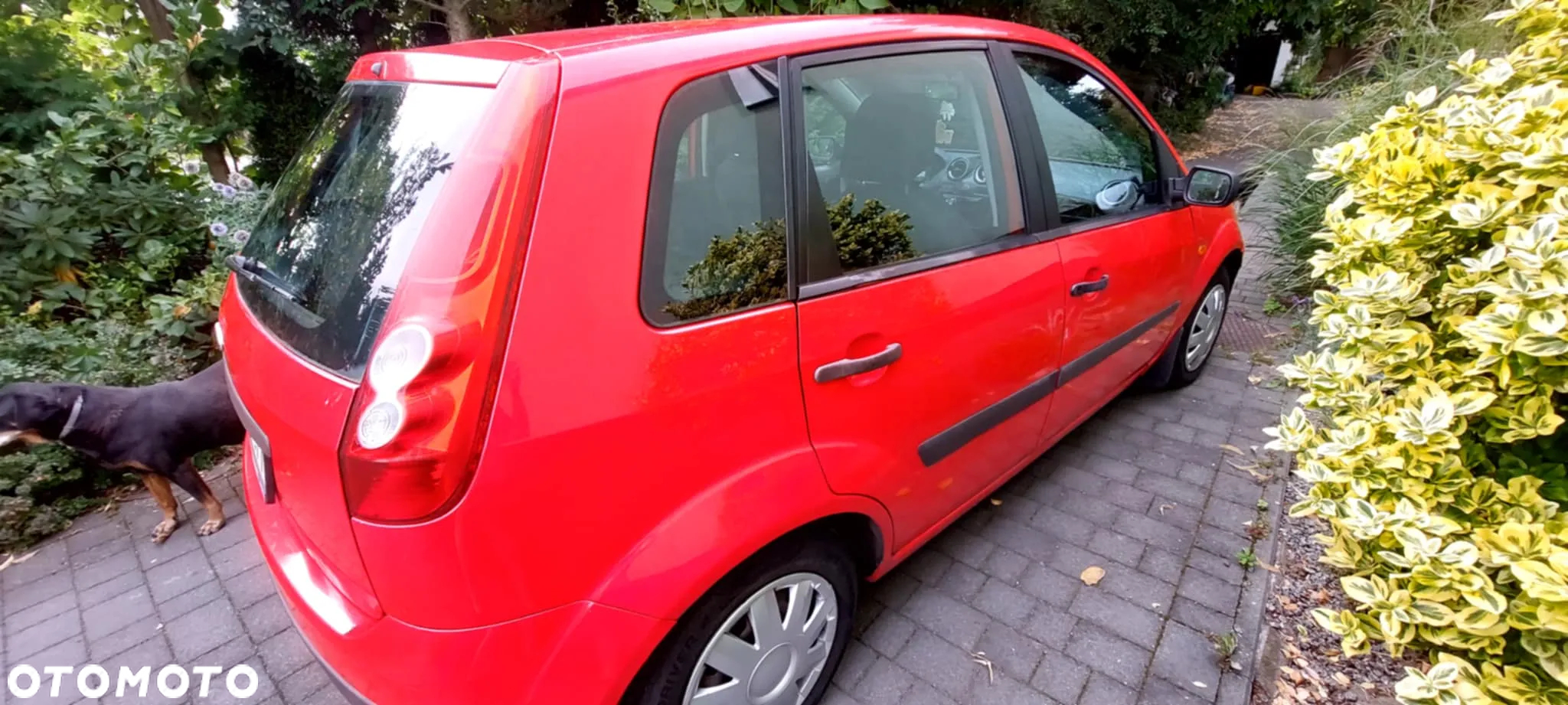 Ford Fiesta 1.25 - 2