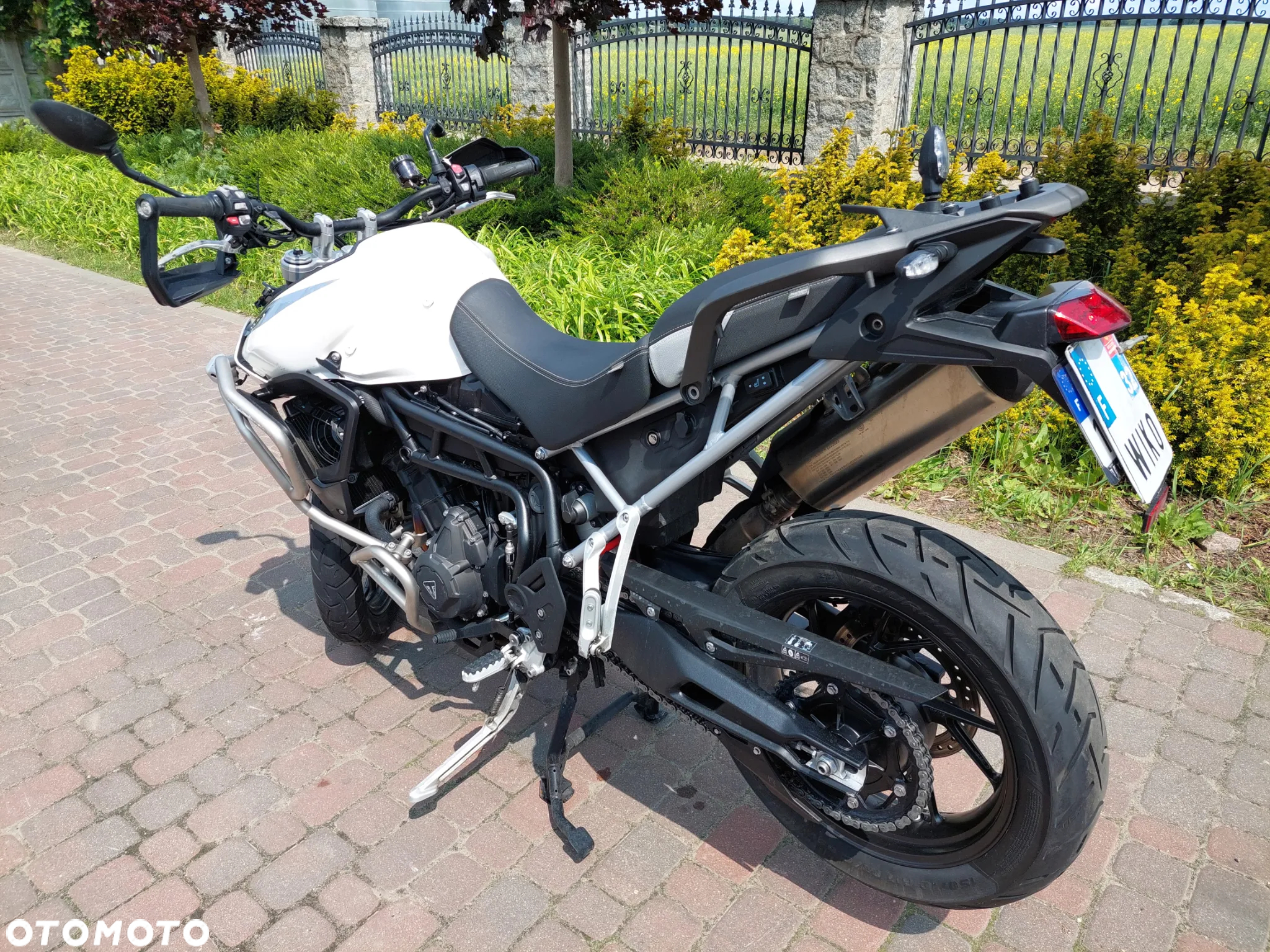 Triumph Tiger - 4