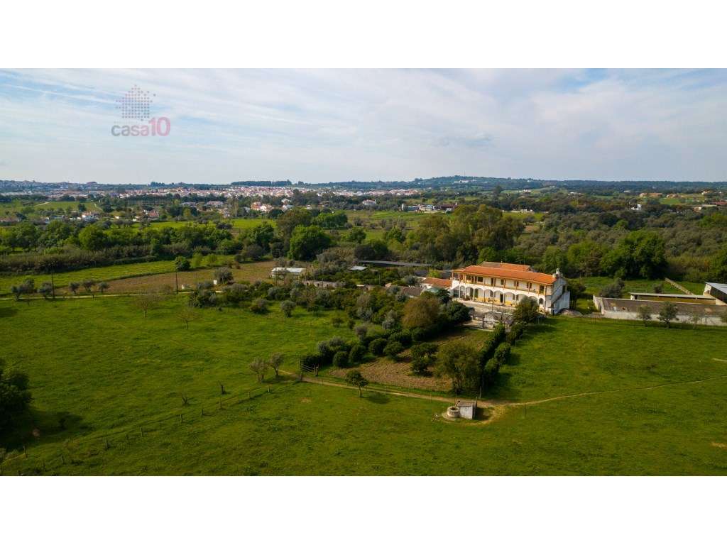 Vende-se quinta em Évora com 10,95 hectares -Excelente Potencial Tu... - Grande imagem: 2/33