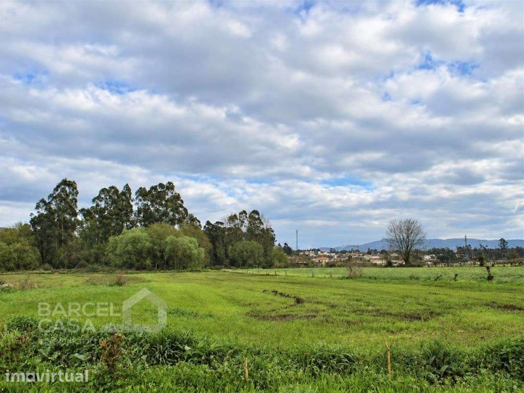 Terreno agrícola em Lijó - Barcelos - Grande imagem: 3/9
