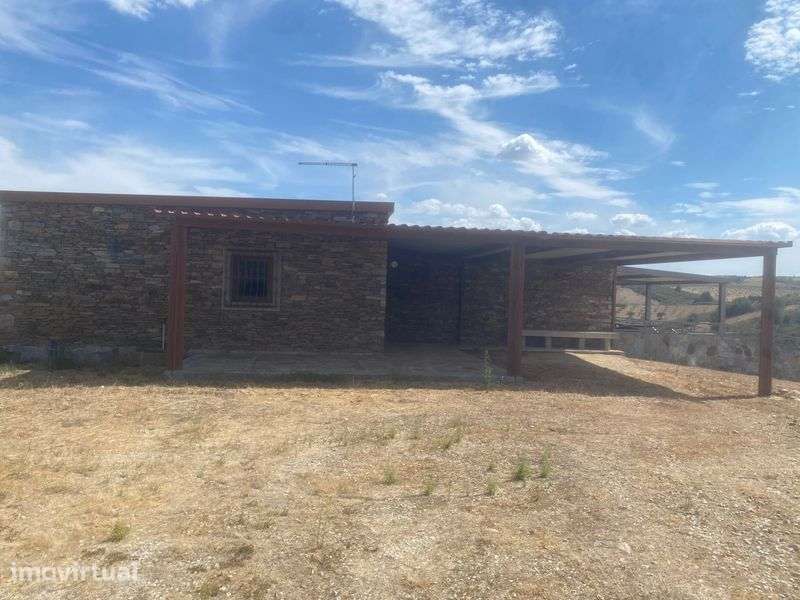 Quinta Mirandela com casa t3 em xisto e Olival - Grande imagem: 5/8