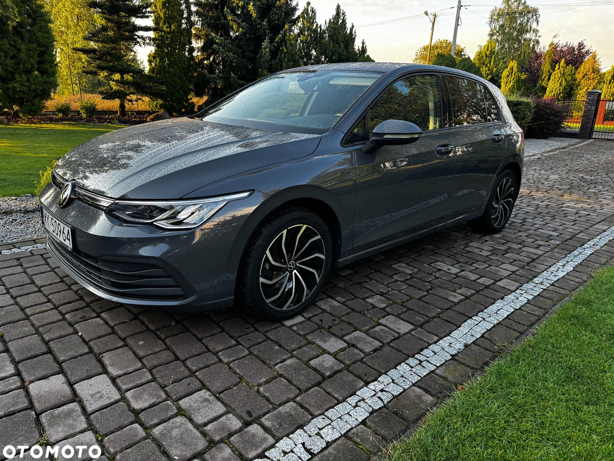Volkswagen Golf VIII 1.0 TSI Life - 1