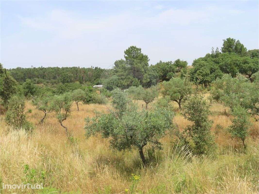 Quinta  para venda - Grande imagem: 2/40