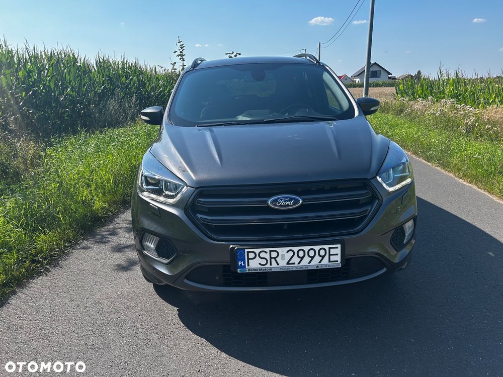 Ford Kuga 2.0 TDCi 4x4 ST-Line - 2