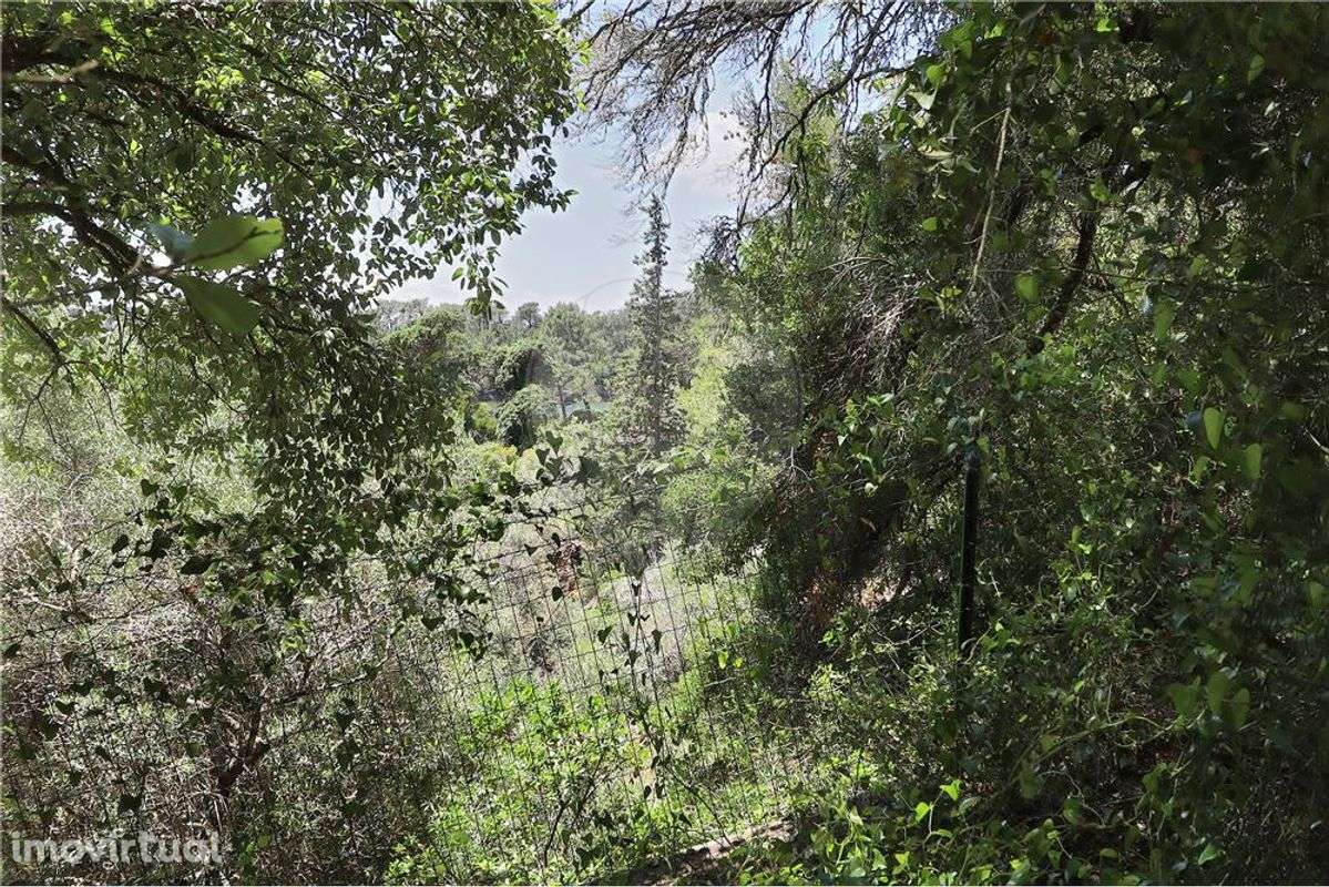 Terreno  para venda - Grande imagem: 4/18