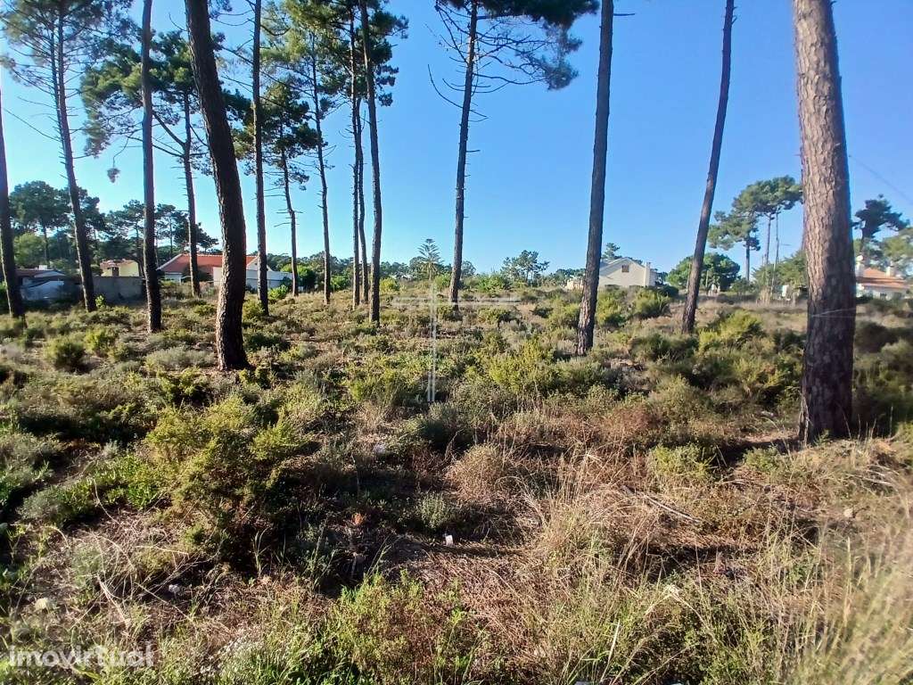 Terreno de 5200m2 - Aroeira, Charneca da Caparica - Grande imagem: 3/13