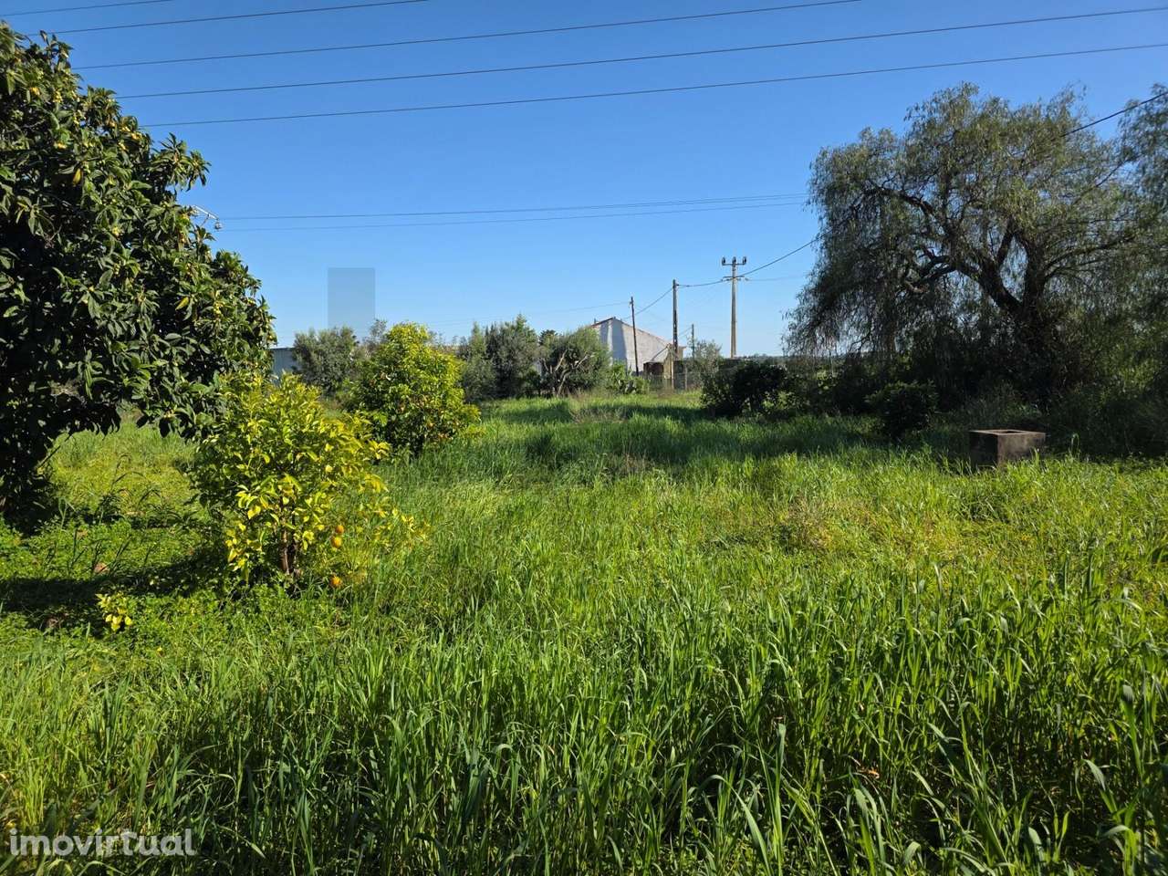 Terreno Urbano para Construção em Alcantarilha Gare - Grande imagem: 5/13