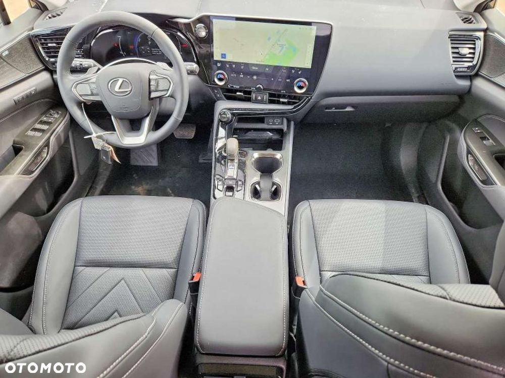 Lexus NX - 10