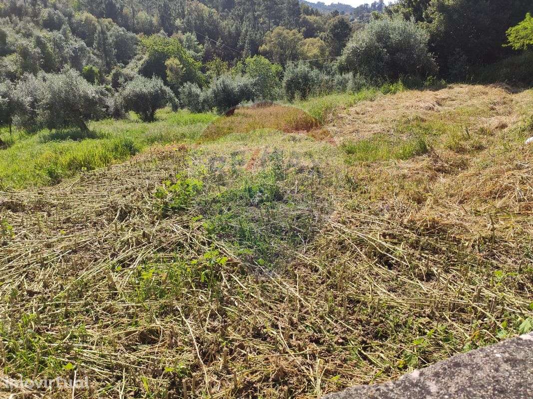 Terreno  para venda - Grande imagem: 2/10