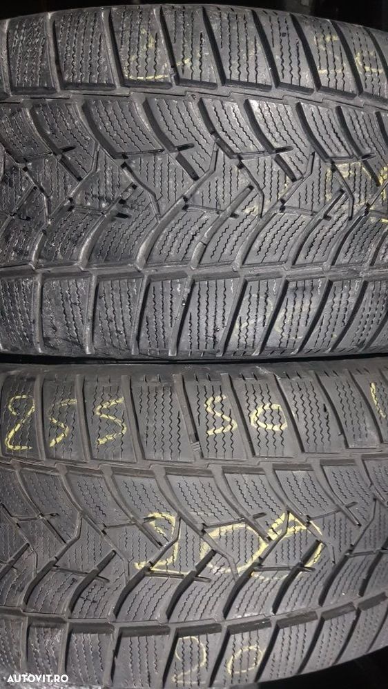 Anvelope 2x255 50 19 dunlop iarnă dot 20 mm 5.3 - 1
