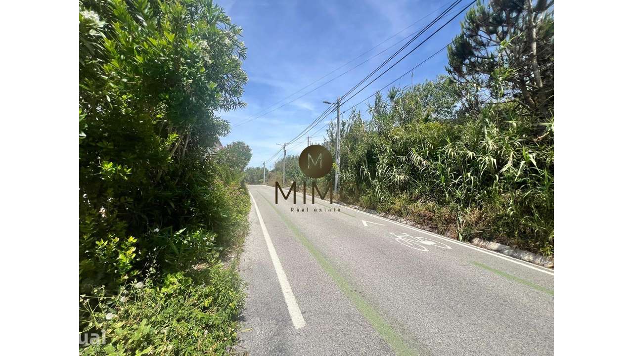 Oportunidade única na Murtinheira - Grande imagem: 4/14