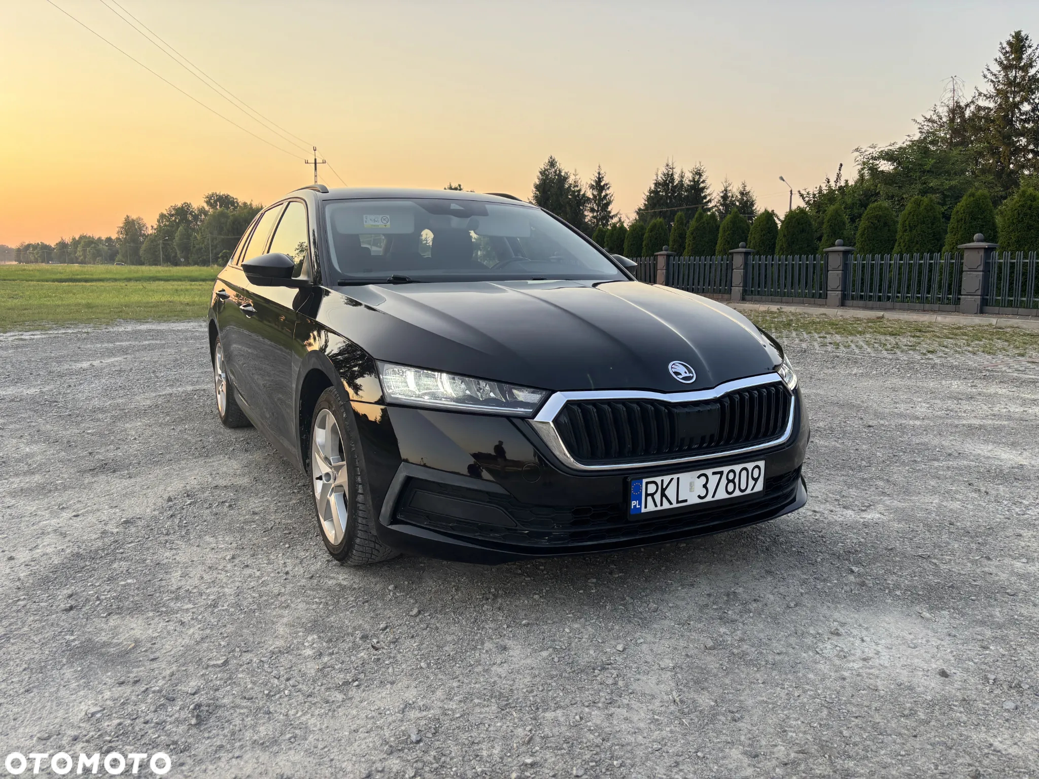 Skoda Octavia - 7