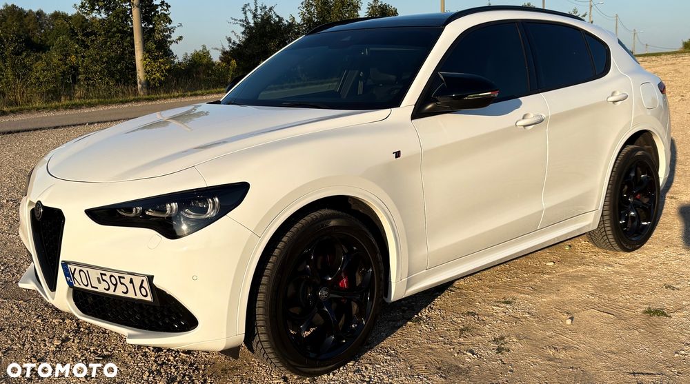 Alfa Romeo Stelvio 2.0 Turbo TI Q4 - 28